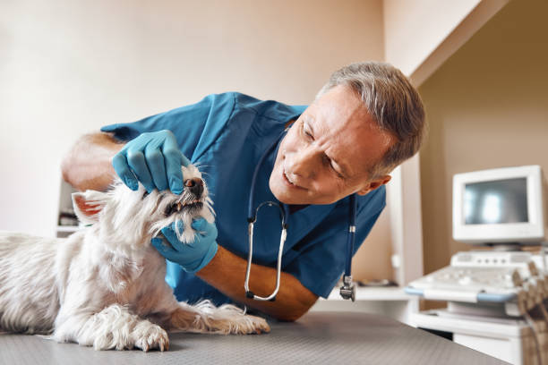 Best After-Hours Emergency Dentist in Simpsonville, KY